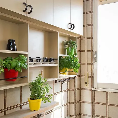 Apartman Dome Terrace *